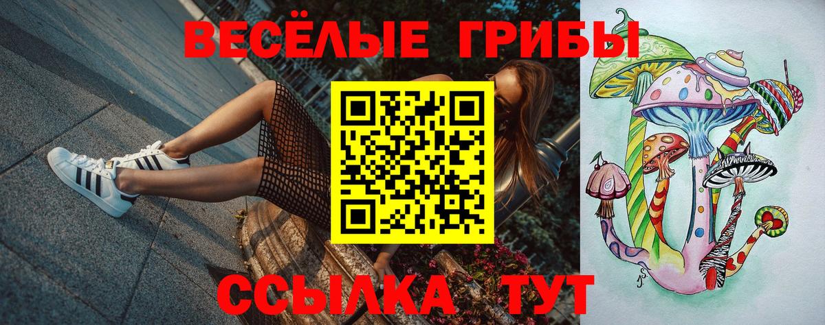 Псилоцибиновые грибы GOLDEN TEACHER  Вход с VPN  Псилоцибиновые грибы прущие грибы  Улан-Удэ 